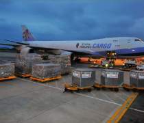 南京活海鮮托運指南 優質商家與貨運代理服務推薦